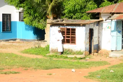 DSC_8465 (Large).JPG